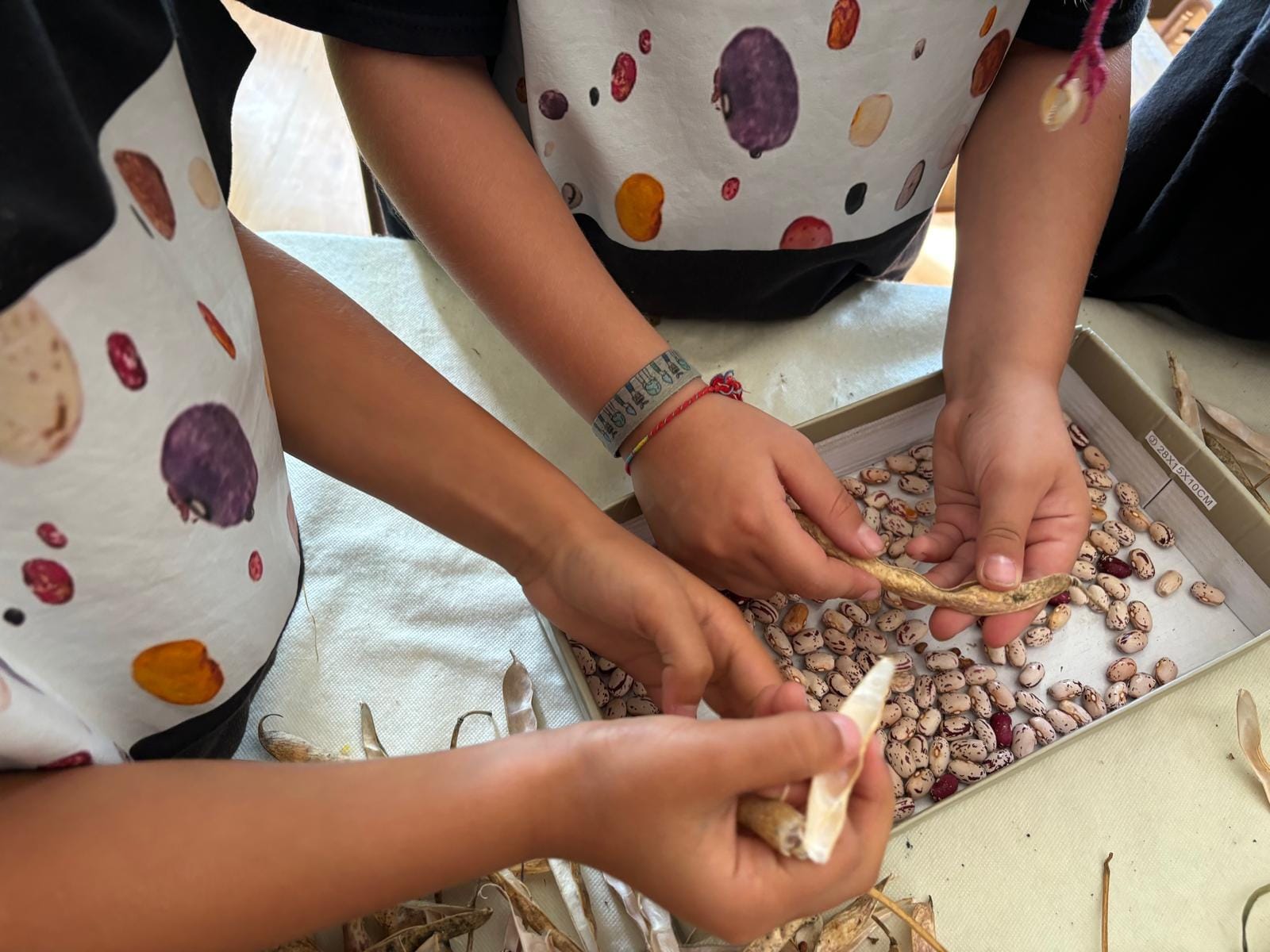 Feature School Portugal